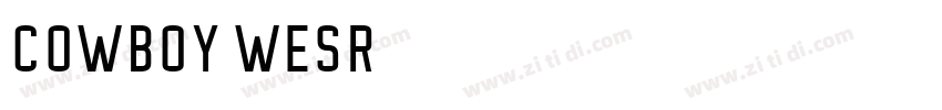 cowboy wesr字体转换